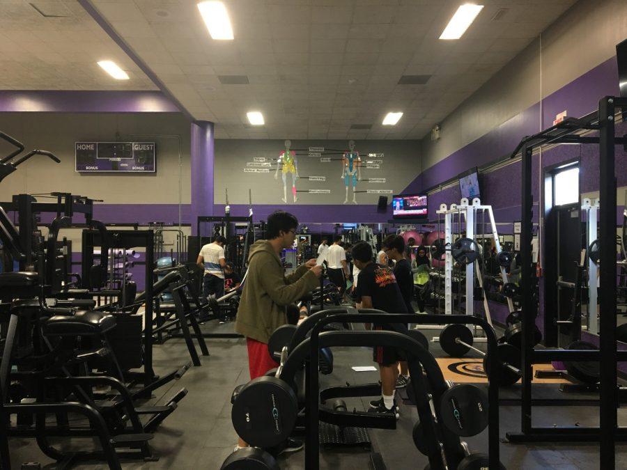 Students+work+out+in+the+weights+section+of+the+Gym.