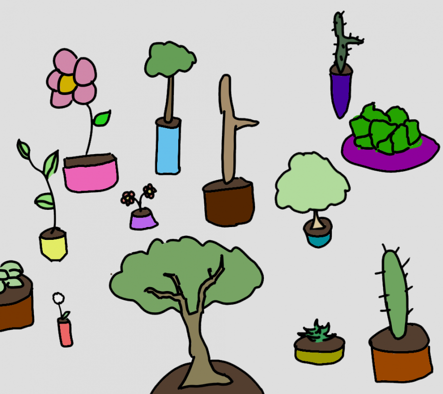 A large group of potted plants