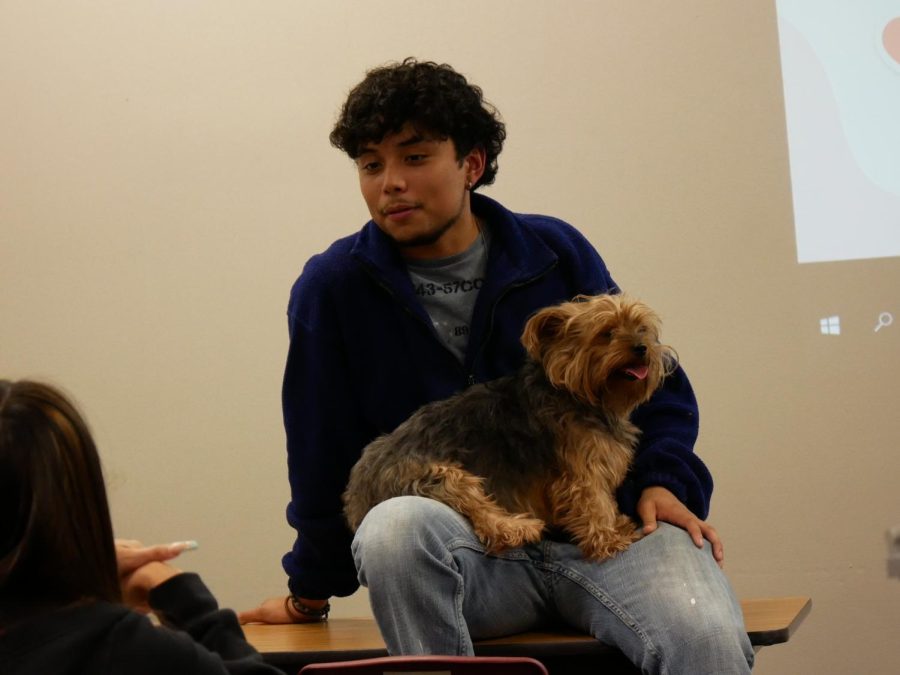 The first Kerr Paws meeting was greeted by Daniel Cobos dog: Chloe. The club hopes to grant permission for students to bring their pets to school. Daniel Cobos says Chloe really loves coming to school.