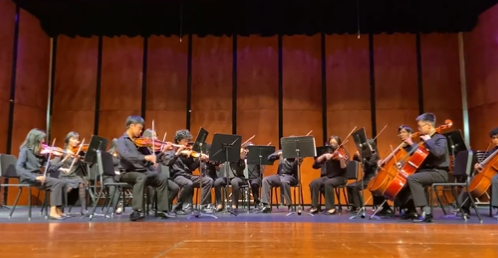 Here is Kerr Orchestra on Orchestra Day on stage. They were playing for intermediate and middle schools. The region auditions will look very similar to this.