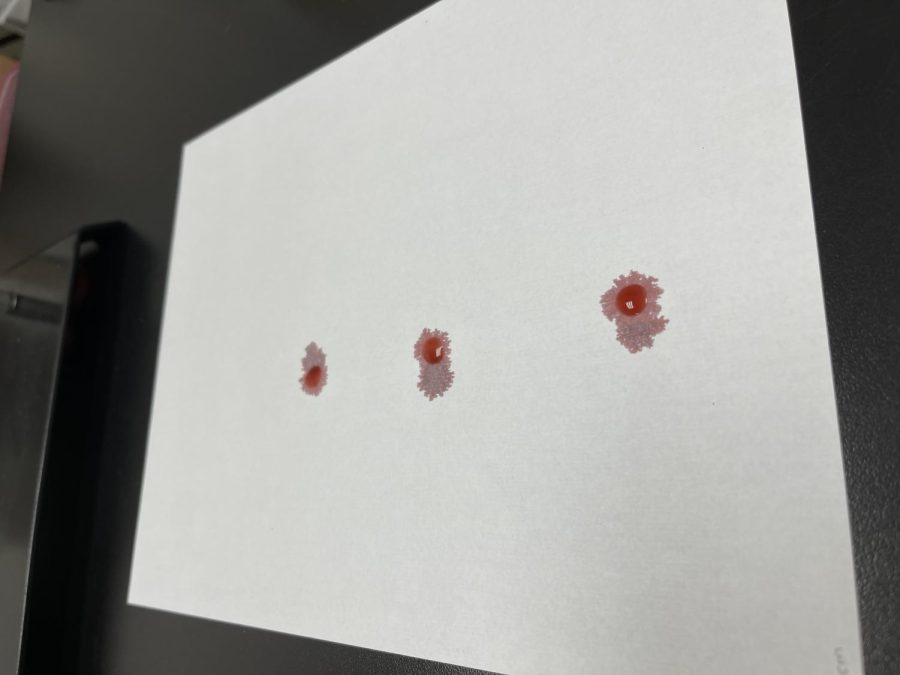Examples of blood splatters from students labs in Forensics. 