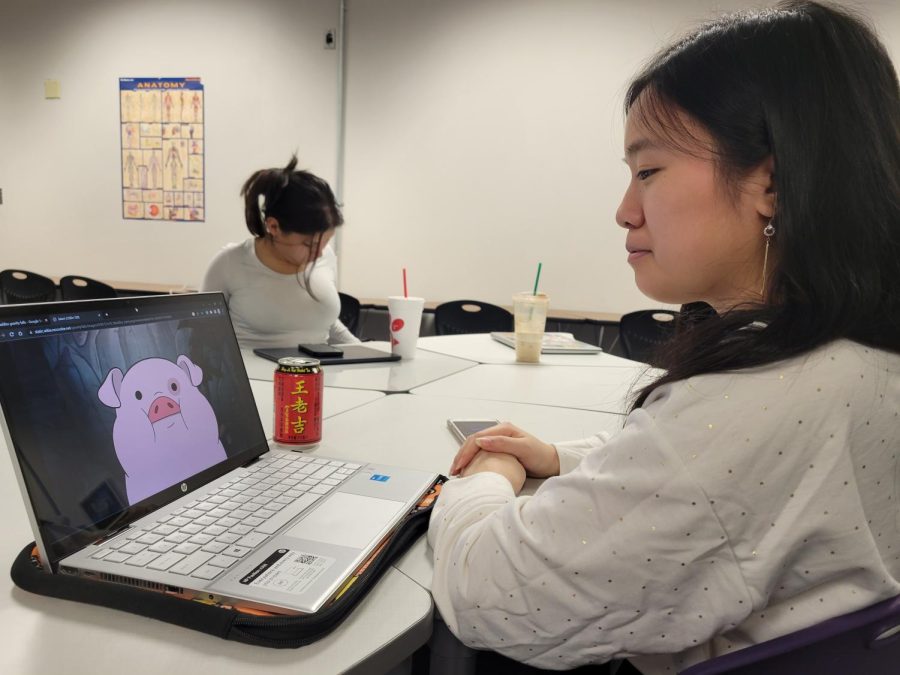 Ellen Nguyen, a senior, looks at her favorite character, Waddles, from Gravity Falls (2012).