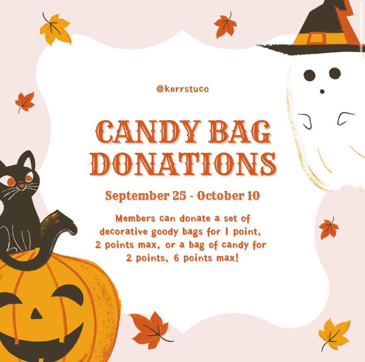 Student Council’s advertisement for the Candy Bag Donations on the Kerr STUCO Instagram page.
