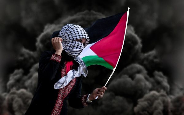 A person wearing the keffiyeh and holding the Palestinian flag to show support. 