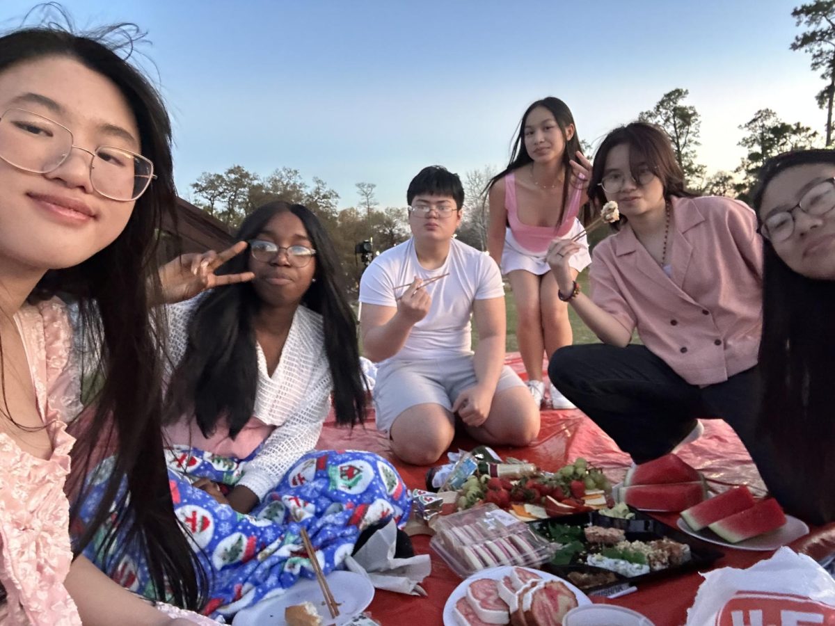 Galentine+Picnic.+A+planned+hangout+to+celebrate+the+Valentine+holiday.+The+session+involves+a+picnic+and+a+home+made+charcuterie+board.+We+watched+the+sunset+together.+Nguyen+said.