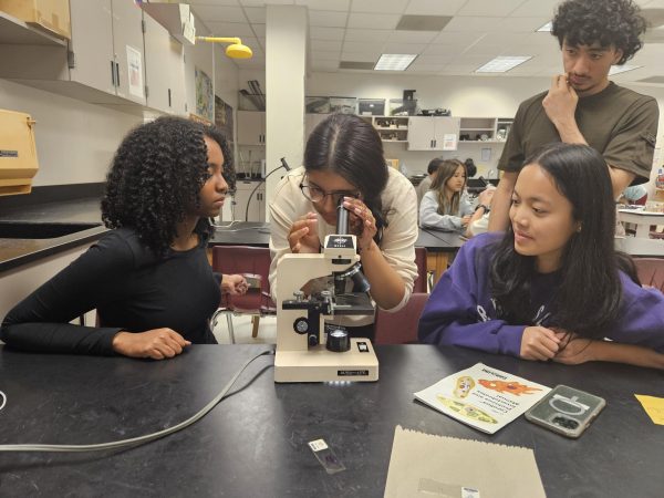 Taking A Closer Look: Science National Honor Society members look at pond water under a microscope. Vice-President Alisha Rahman helps members adjust the microscope to clarify what they are supposed to look at. “The general meeting went smoother than I thought and it was fun helping new members,” Rahman said.
