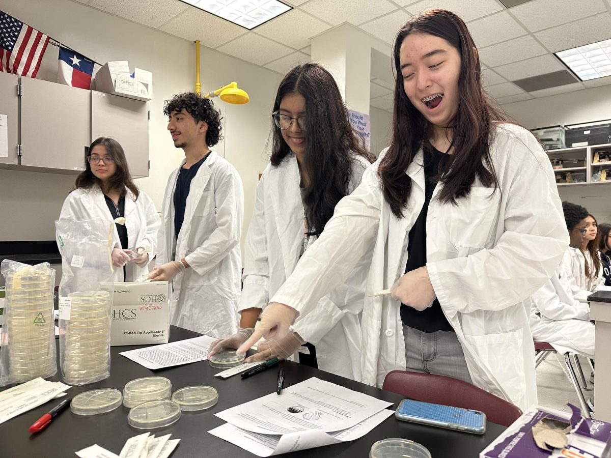 A Wonderful Discovery: Maria Bongah, Aryan Shoaei, Alisha Rahman, and Iris Hoang-Dugan conduct experiment at Station 2. This station included activities such as swabbing different areas onto a petri dish, placing it into an incubator, and waiting for bacteria to grow. "Looking at the bacteria swabbed from the toilet that grew on the petri dish was kind of interesting," Rahman said.