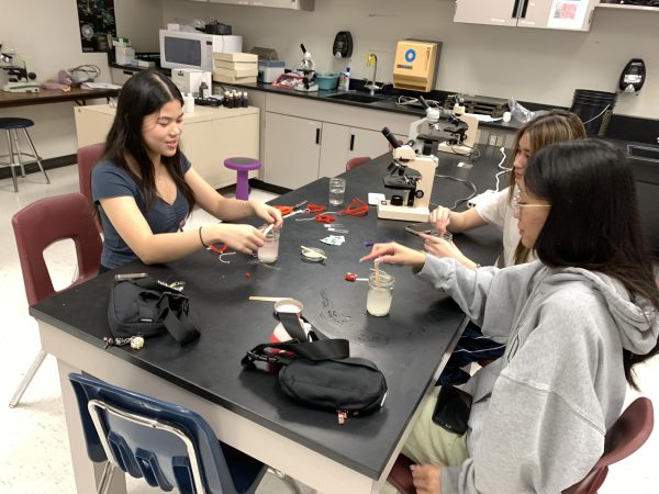 Heart In Hand: Jenny Tran, Jessica Nguyen, and Kamie Le make heart crystals. The hearts were made out of borax and members were allowed to keep them if they wanted to. "Making the crystals felt like I was back in elementary doing simple experiments," Le said.