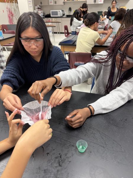 Find Community:  Sophomore Yahan Dai and senior Oreofe Awokoya work on an experiment together in the biology lab. FEMS and STEM officers, and new members joined together for their first general meeting where they outlined many new upcoming activities and important information. “I had so much fun,” said Dai.