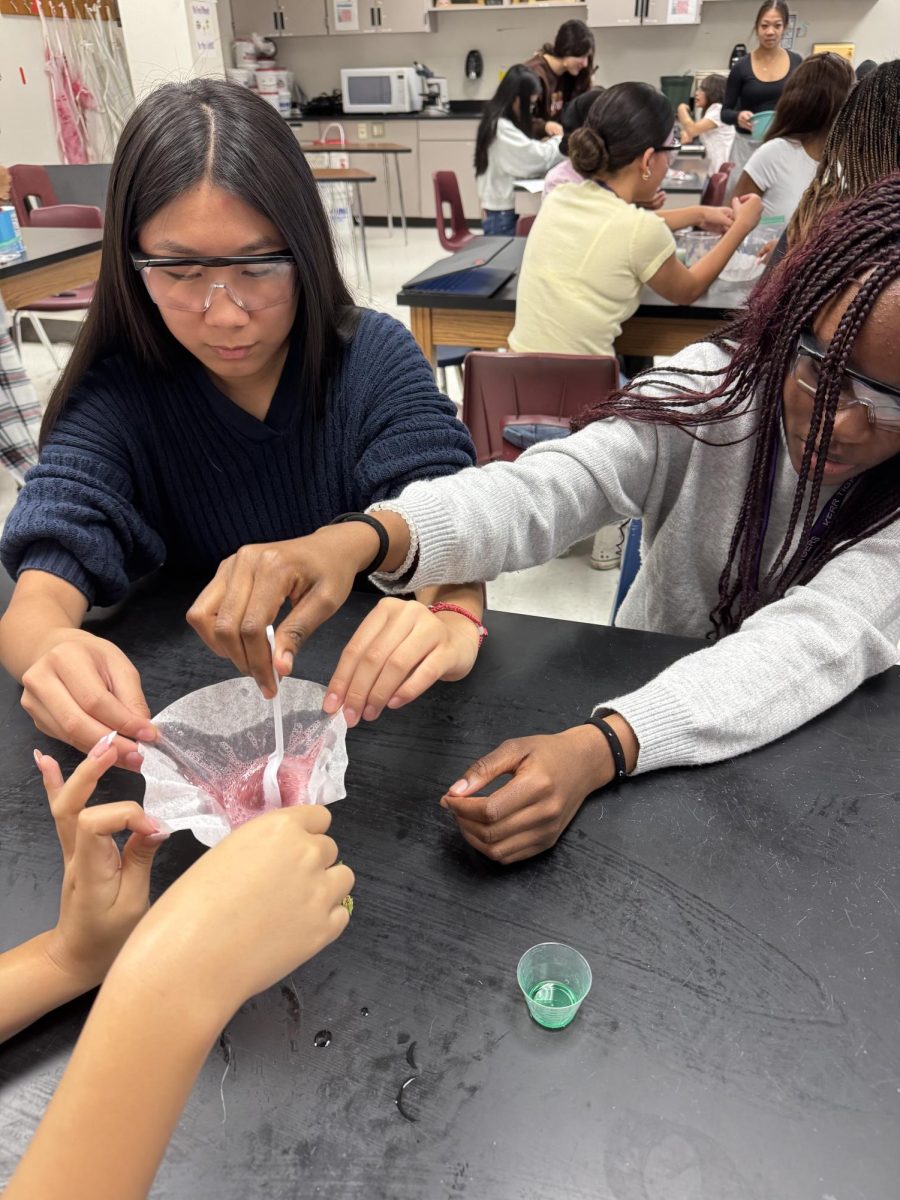 Find Community:  Sophomore Yahan Dai and senior Oreofe Awokoya work on an experiment together in the biology lab. FEMS and STEM officers, and new members joined together for their first general meeting where they outlined many new upcoming activities and important information. “I had so much fun,” said Dai.