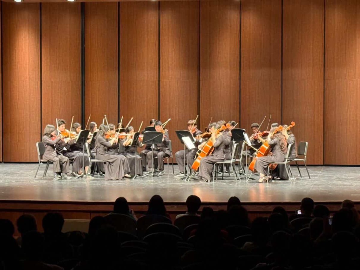 Moving Bows: Cambiata Orchestra performs at the Spring Concert in the Main Stage Theater. This orchestra group performed lastly to end the season off with a kick. "It was very nice to watch Cambiata perform after I got done performing with my group because it gave me a break to enjoy the concert myself," Safa Karim said.